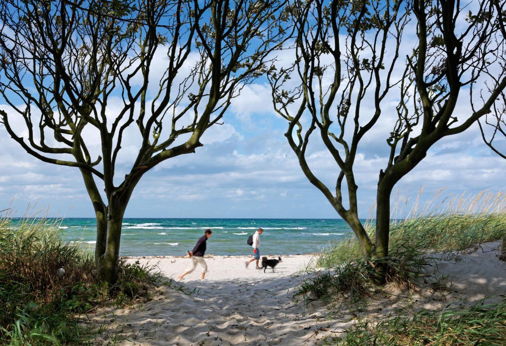 Apartmán Insel-Idyll Sonnenschein Insel Poel Exteriér fotografie