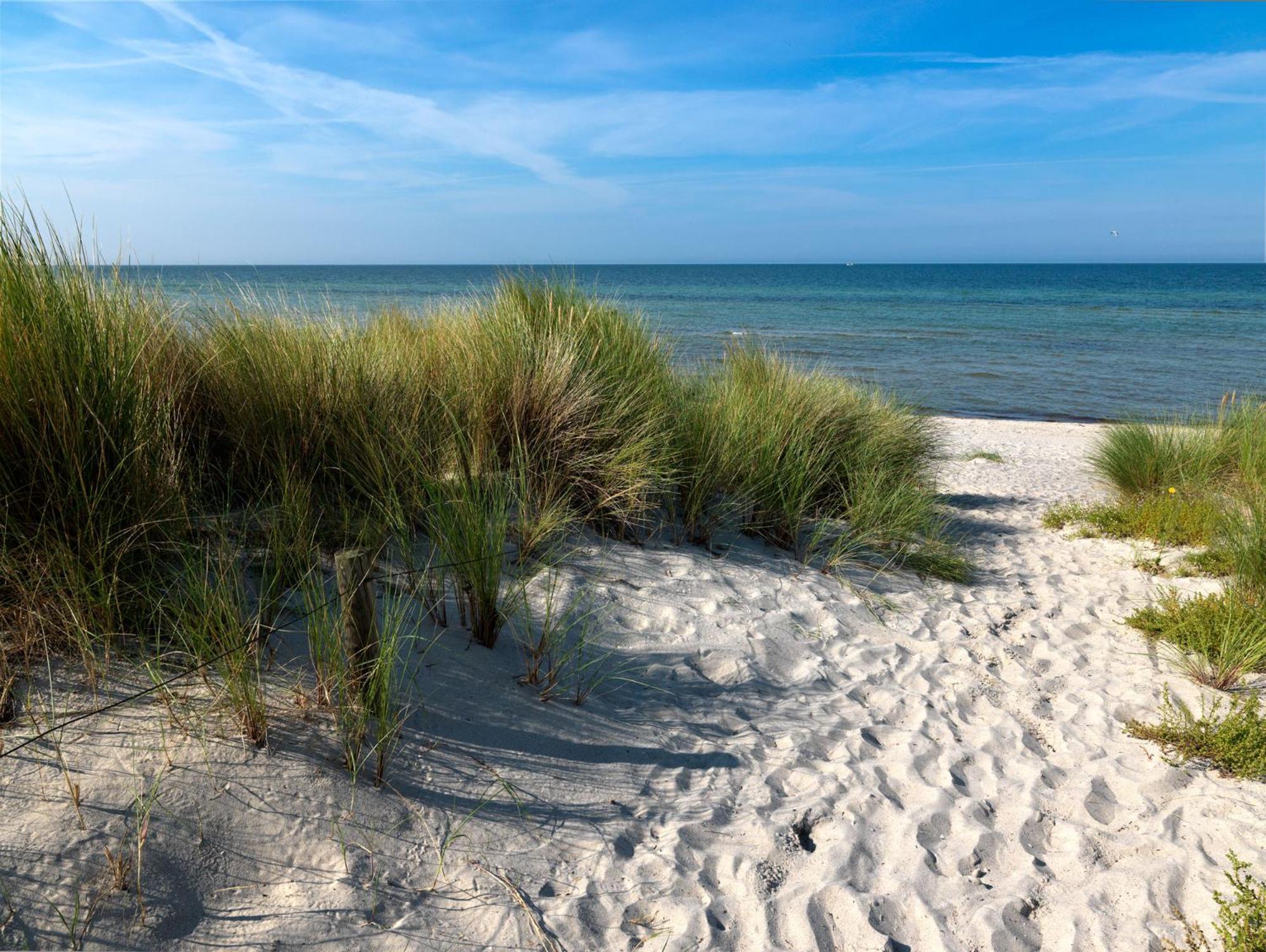 Apartmán Insel-Idyll Sonnenschein Insel Poel Exteriér fotografie