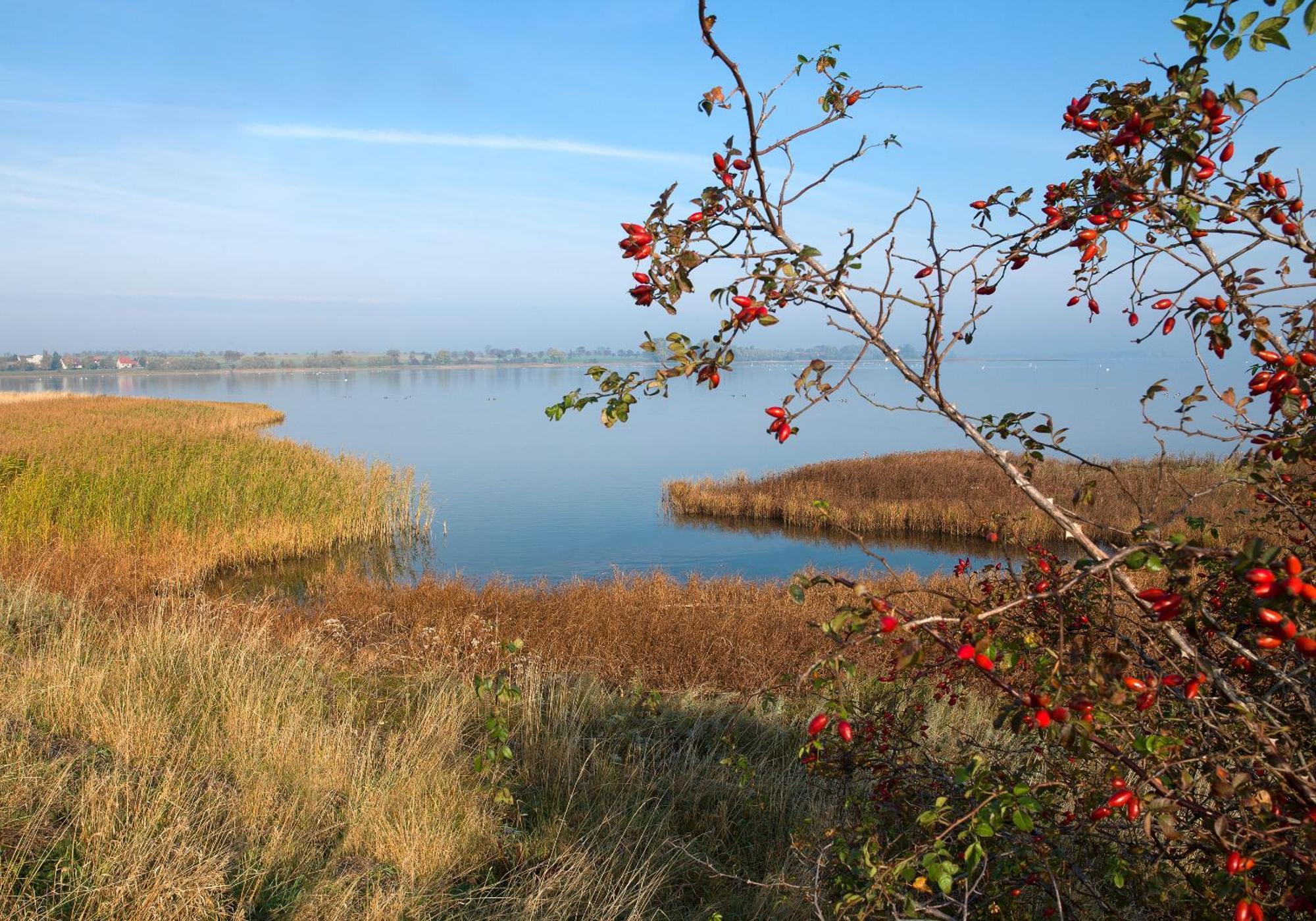 Apartmán Insel-Idyll Sonnenschein Insel Poel Exteriér fotografie