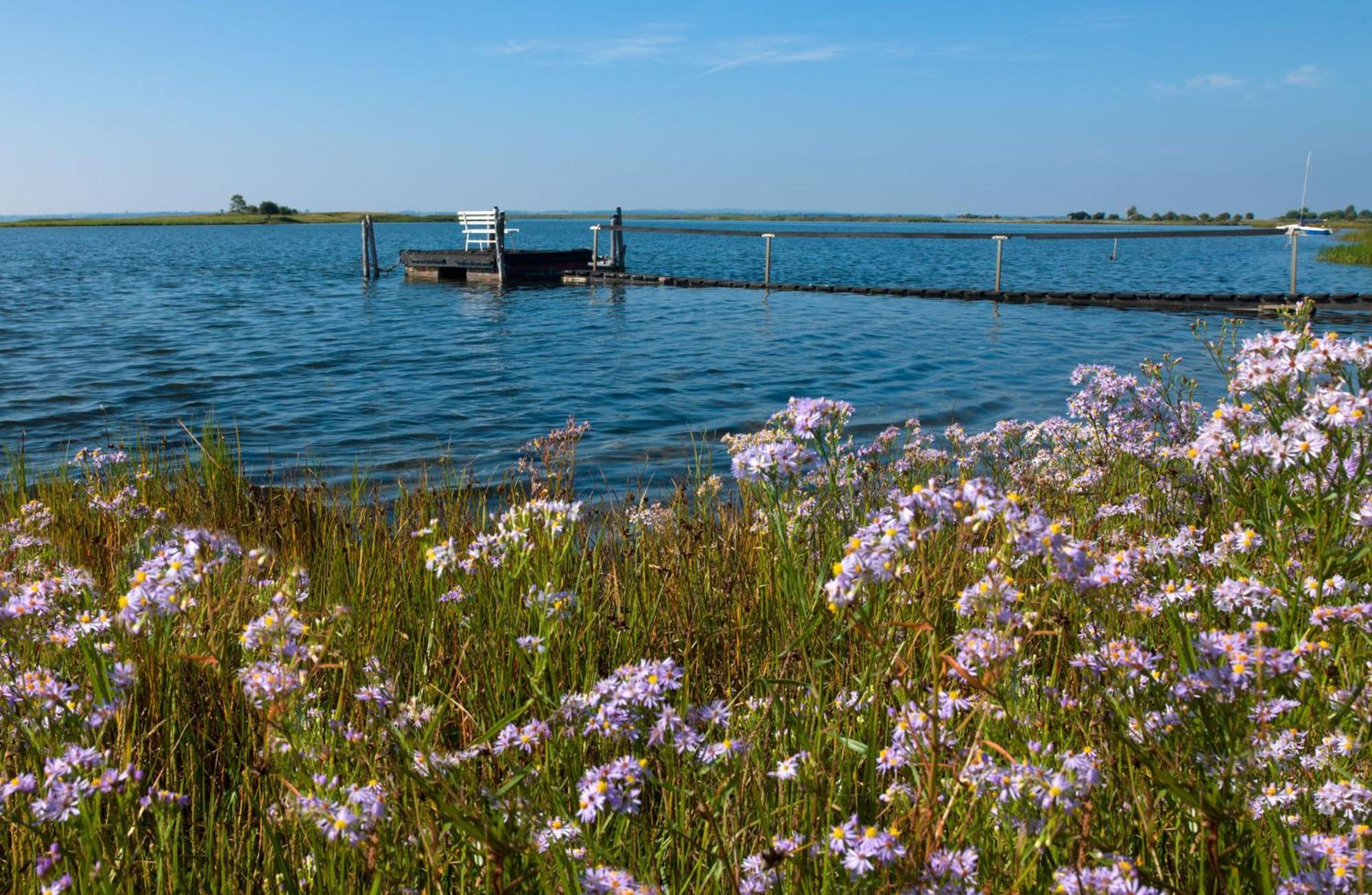 Apartmán Insel-Idyll Sonnenschein Insel Poel Exteriér fotografie